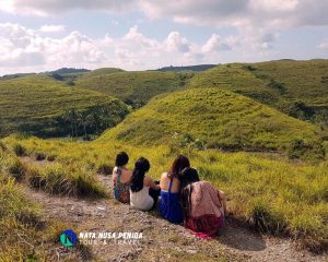 Bukit Teletubbies Nusa Penida Tour