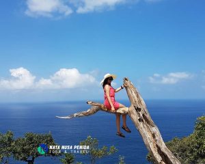 Pohon Cinta Nusa Penida Tour