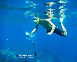 Wall Point Nusa Penida